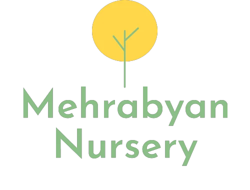 Mehrabyan Nursery