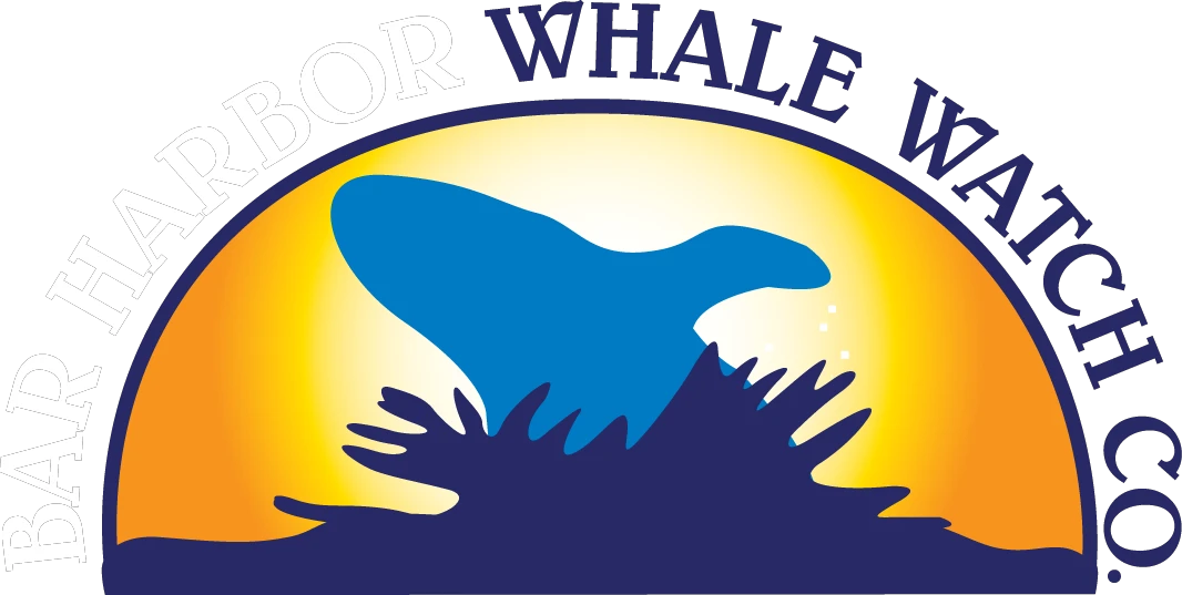 Barharborwhales