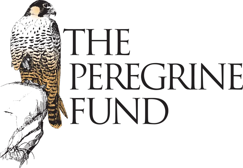 Peregrine Fund