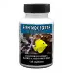 15% Saving First Order | Fish Mox Fish Flex Code
